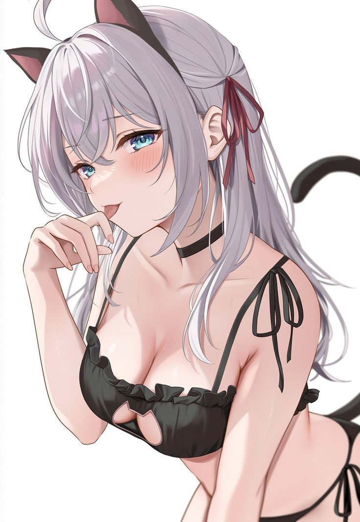 🐾注意事項